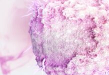 Герпетический стоматит — симптомы, лечение, фото в статье экспертного журнала Startsmile