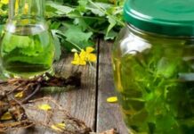 Чистотел от герпеса: лечение, показания к применению