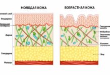 Биоревитализация лица: что это за процедура, как делают, когда виден эффект после биоревитализации?