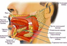 Причины и лечение болей под языком – стоматология «АльфаДент»