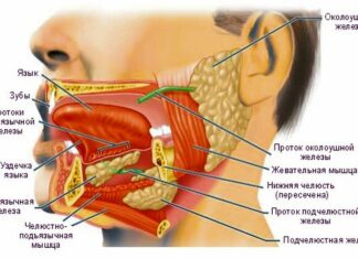 Причины и лечение болей под языком – стоматология «АльфаДент»