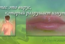 Вирус герпеса-развитие весной Лечение герпеса Вакцина от герпеса в ЦКИ.
