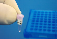 ПЦР на герпес, когда и кому необходим, где сдать срочно в Москве.