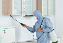 Эффективные методы уничтожения тараканов в офисе