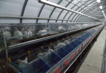 Современное оборудование для содержания кроликов