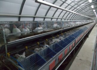 Современное оборудование для содержания кроликов