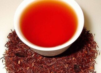 Всё об африканском чае Ройбуш: польза и вред, как заваривать и где покупать