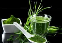 Водоросль спирулина — в чем ее особая польза и эффект