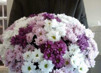 С какими цветами сочетаются хризантемы?