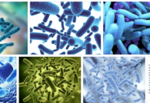 Побочные действия пробиотиков