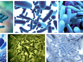 Побочные действия пробиотиков