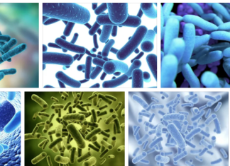 Побочные действия пробиотиков