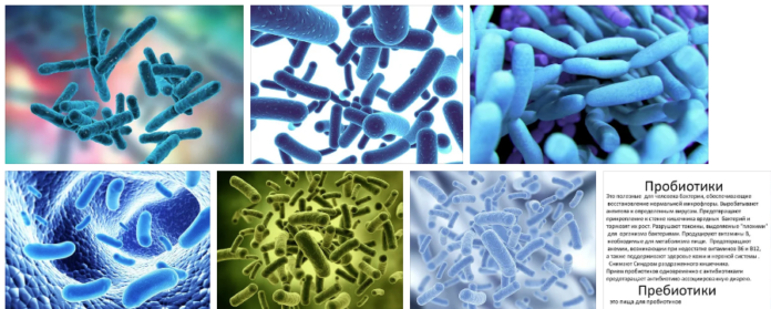 5ca668cf72344cb92b04d6f987a1e742