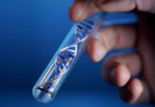 Что такое ДНК тест на отцовство и где его можно заказать?