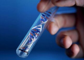 Что такое ДНК тест на отцовство и где его можно заказать?