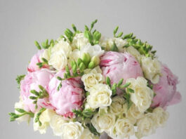 С какими цветами сочетаются пионы в букете