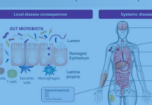 Быстрый способ улучшить микрофлору кишечника