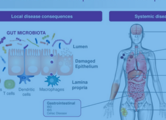 Быстрый способ улучшить микрофлору кишечника