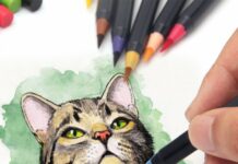 Диагностика мочекаменной болезни у кошек и собак (МКБ)