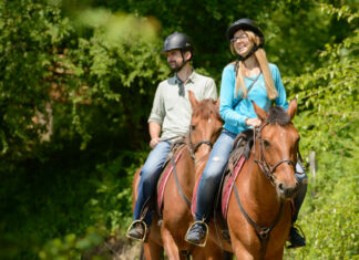 Особенности конных прогулок
