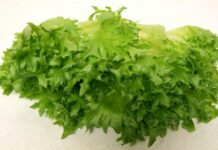 Какую зелень используют в свежем виде