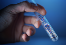 Тестирование на отцовство