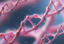 Тест ДНК для установления отцовства