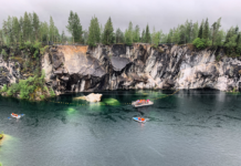 Украшение офиса искусственными цветами
