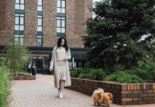 Озеленение офиса как способ повышения настроения сотрудникам