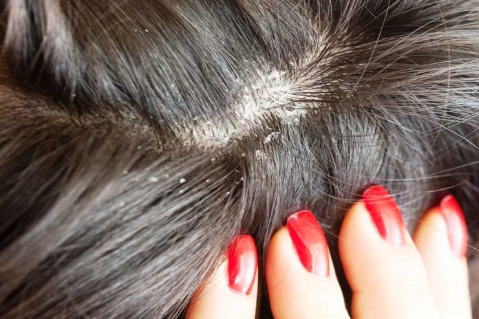 88e48a0ffc6a8e5b267c7b242e9f6c44