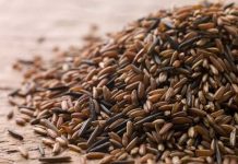 Что такое калории? Зачем их считать?