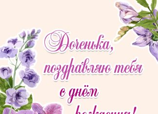 Цветы в подарок: рекомендации, как сделать правильный выбор