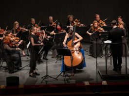 Какие концерты с участием контрабаса спешат посетить москвичи