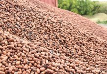 Сертификат на керамзит: обязательно ли его получать