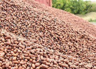 Сертификат на керамзит: обязательно ли его получать