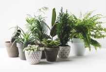 Помощь в выборе цветочных горшков