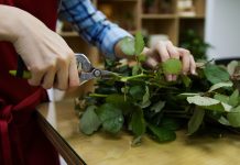 5 советов: как сохранить цветы свежими