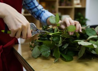 5 советов: как сохранить цветы свежими