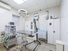 Где найти оборудование для клиники и ветеринарной больницы