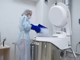 Что такое криобанк