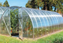 Чем примечательны теплицы из поликарбоната
