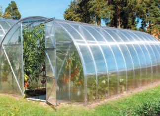 Чем примечательны теплицы из поликарбоната