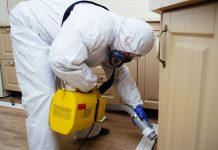 Почему бытовые средства от клопов не отличаются эффективностью