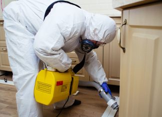 Почему бытовые средства от клопов не отличаются эффективностью