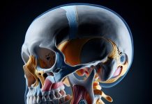 Где получить компьютерную томографию височно-нижнечелюстного сустава: советы