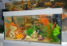 Изготовление с обслуживанием аквариумов и декоративных водопадов: альтернатива аквариуму без живых обитателей