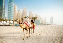 Туры в ОАЭ из Москвы: Великолепные приключения в экзотической стране