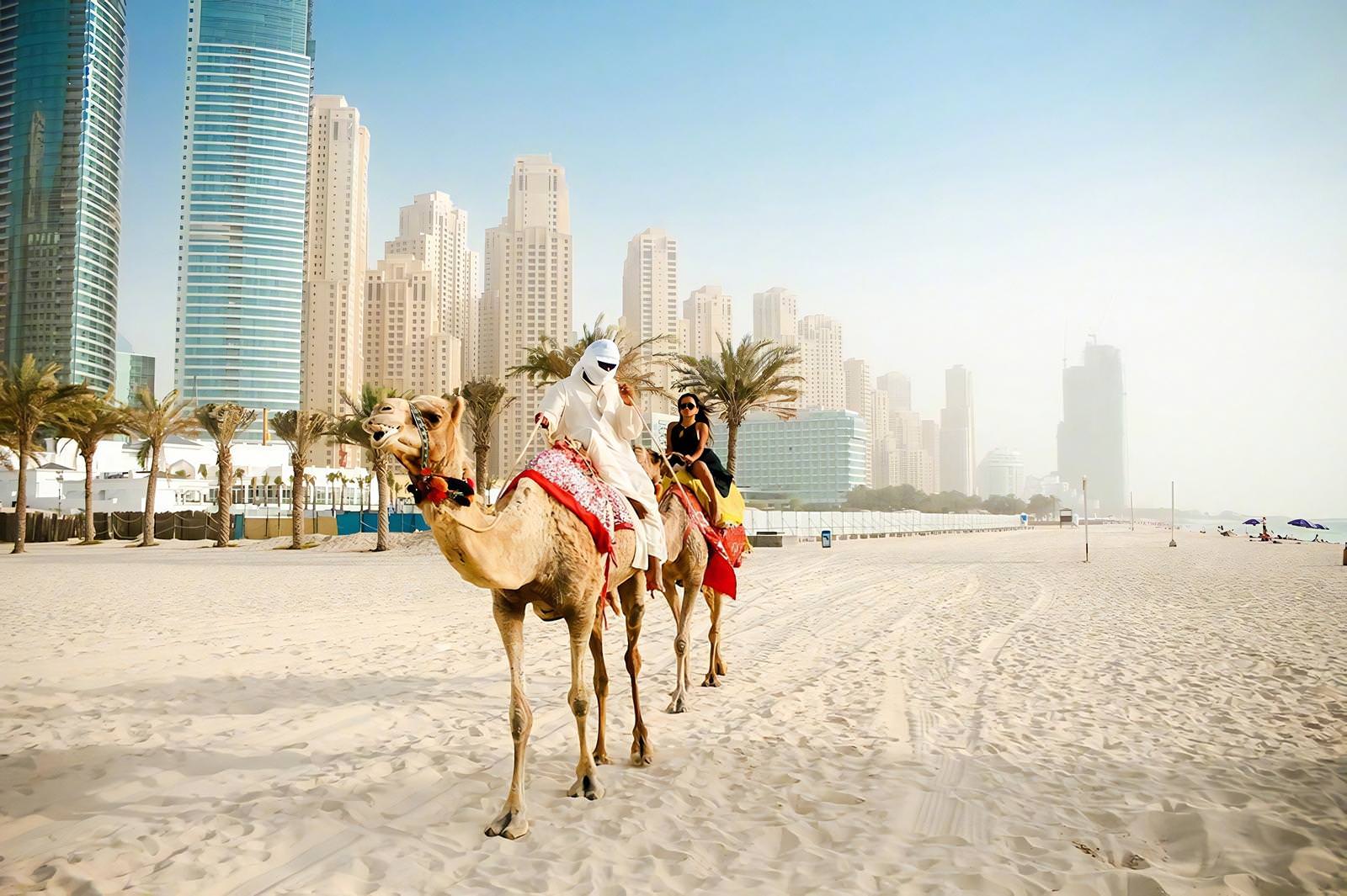 Дубайский сайт. Объединенные арабские эмираты (ОАЭ). Парк пустыни Шарджи. Абу-Даби (эммират). Сафари Абу Даби.