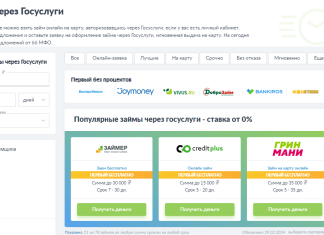 Займ через Госуслуги: удобное решение вопроса
