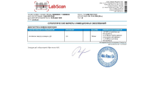 Методы защиты от краснухи: ключевые стратегии профилактики